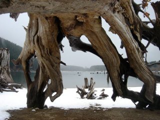 One of the photo contest winners.