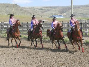 Riding rescued horses