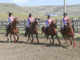 Riding rescued horses