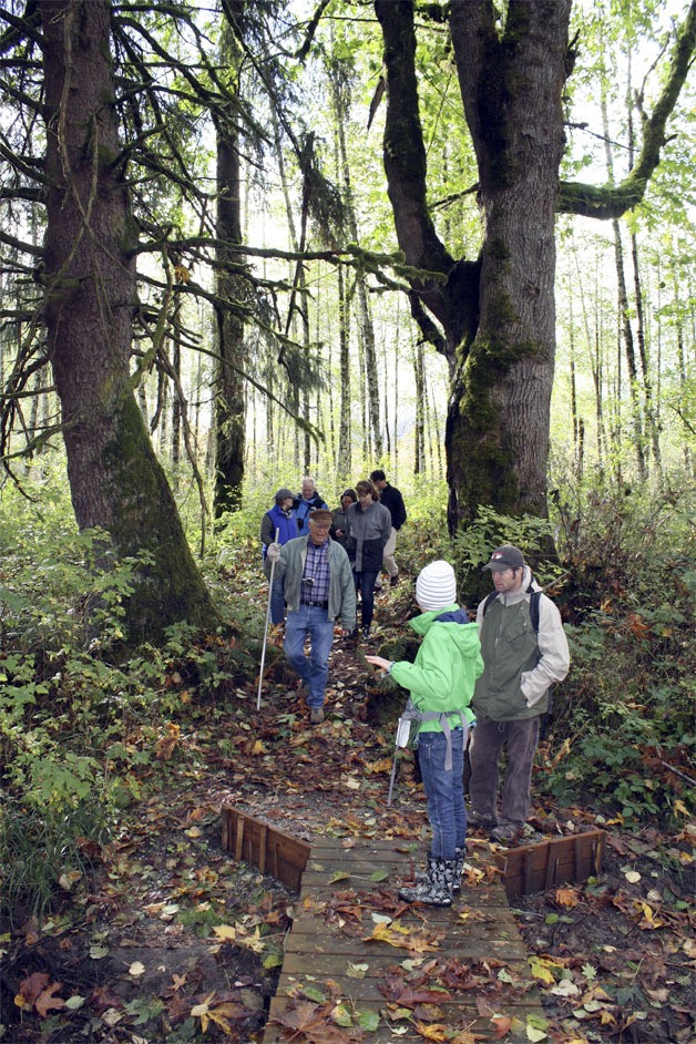 Dave Battey leads hikers over a Boy Scout-built bridge in the slough-riddled section of Meadowbrook Farm