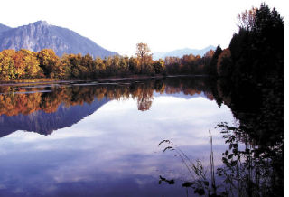 Pat Friedman of Snoqualmie snapped an image of autumn color on a bright Sunday