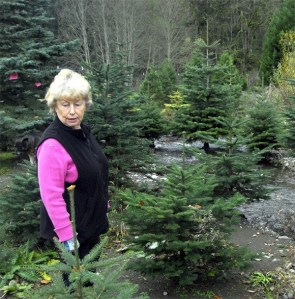 Pointing out damaged trees