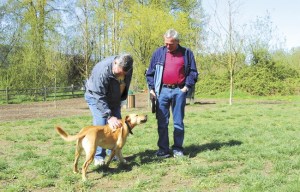 Dog owners and their pets play at Snoqualmie’s Three Forks Park. The city hosts the annual Dog Days of Summer event Aug. 5 at the park.