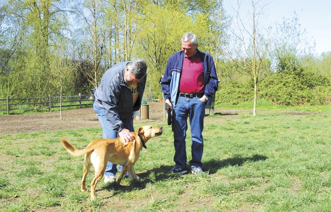 Dog owners and their pets play at Snoqualmie’s Three Forks Park. The city hosts the annual Dog Days of Summer event Aug. 5 at the park.