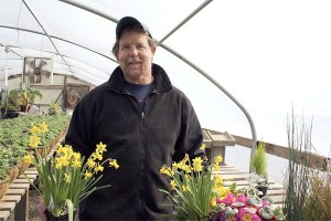 Life is about being busy for North Bend’s Nels Melgaard. Tending plants at his business