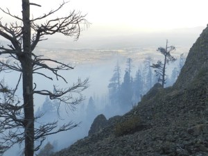 Charred trees still stand on this ridge overlooking Swauk Prairie east of Cle Elum. Thousands of acres in the area were burned in the Taylor Bridge wildfire