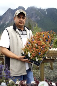 Working under the face of the mountain