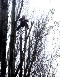 High in the branches of a poplar tree slated for the axe