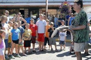 A crowd laughs as an alligator falls asleep too soon during Scott Petersen’s demonstration on how to put an alligator to sleep.