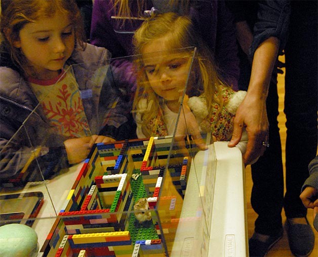 Molly Schlotfeldt and her big sister Josie watch one of the most popular experiments of the Fall City science fair