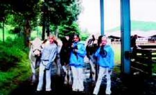 Carnation cowgirls compete in regional dairy fair