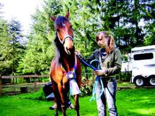 Local family looks to start new 4-H group