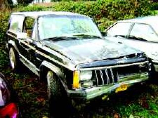 Cops say all cars susceptible to theft