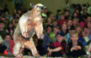 Now where did I see that anthill?