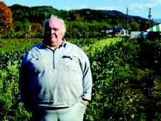 Toiling with soil proving productive at Bernard Farm