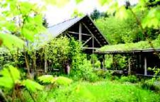 Watershed center makes a splash with Waterfest