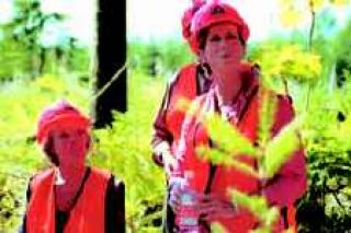 Tree farm deal has Whitman's support