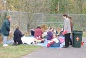 Fake Quake rocks Opstad