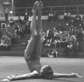 Wildcat gymnasts have good league opener