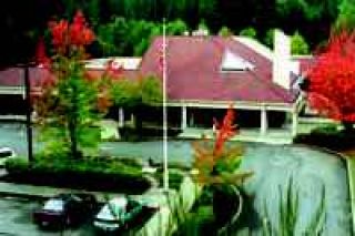 Hospital seeks levy increase