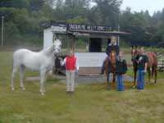 Local riding club in danger of losing arena