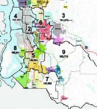 Districting committee prepares final county map for review