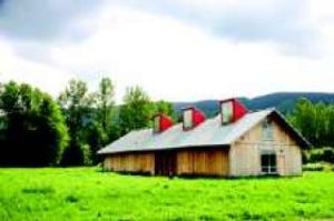 Meadowbrook Farm starting to grow again