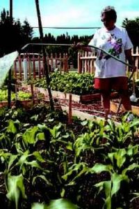 Greening up the city