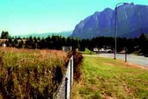Chaplin's may move out of North Bend