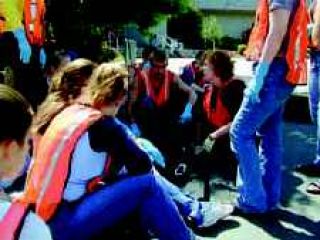 Setting a trap for pollutants