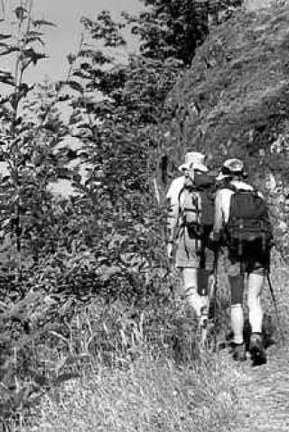 On their way to the top