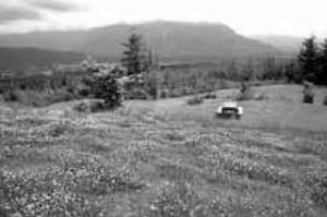 City gets first look at Snoqualmie Point
