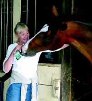 Life's trials help Valley artist find her true calling