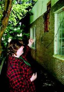 Woman finds home is also a hive
