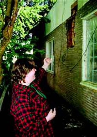 Woman finds home is also a hive