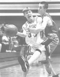 Wildcats use Totems as a scratching post