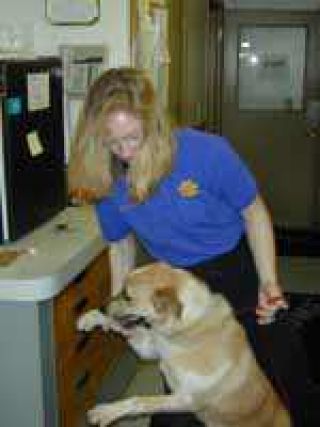 Dog found in river possible victim of drowning attempt