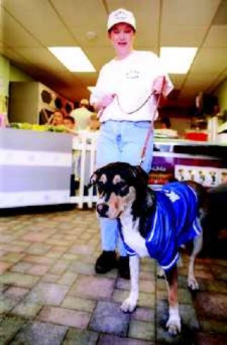 A place for pets to get pampered