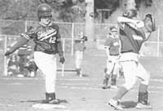 'Cats to sport younger look