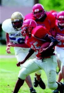 Wildcats on the loose