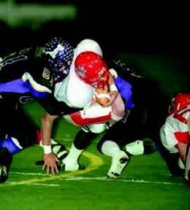 'Cats fall to Kingco champs