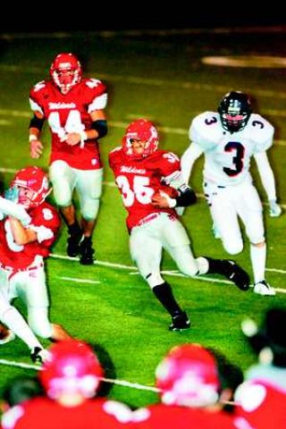 'Cats crush Bulldogs