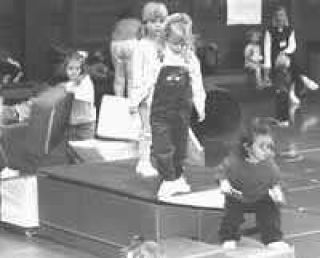 Groups would be hurt if Si View closes