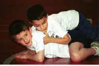 Wrestling rough house