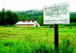 Meadowbrook Farm to help host Discovery Days festival