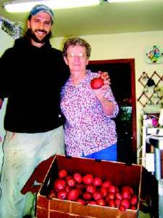 Meadowbrook Farm continues to grow