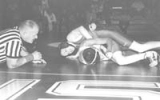 'Cats upset by Patriots