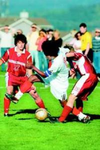 'Cats fall to undefeated Islanders