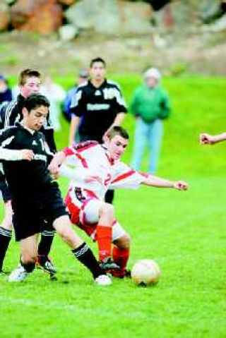 Wildcats break out to great start