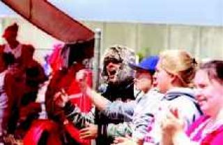 Wild for the Wildcats